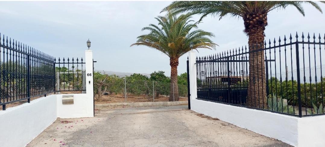 The Black Horse Canarias - Adults Only Maspalomas  Room photo